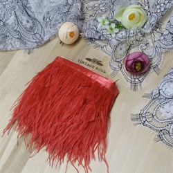 Перья страуса на ленте, красные (Красный) PS-05 - фото 14238