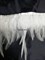 Перья марабу на ленте 10-15 см белые - фото 15044